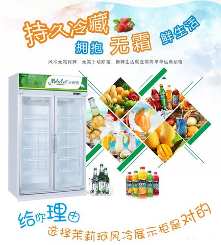 豪华铝合金双门冷藏展示柜惠州冷柜厂家价格 - 保鲜冷藏设备 - 食品